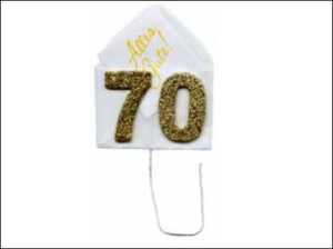 TAUN Glückwunsch " Festliche Zahl - 70 " mit Drahtstiel