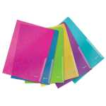 Leitz Sichthülle WOW 40500099 A4 farbig sort