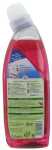 FROSCH WC Reiniger 750ml Himbeer Essig