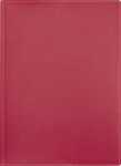 2026 Brunnen Buchkalender 796 A5 rot
