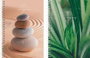 2026 Rido Buchkalender futura 2 „Imagine“ A5 Papier