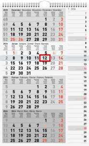 2026 Rido 4-Monatskalender grau 300×490 mm