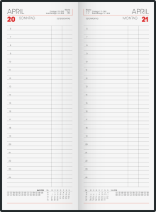 2026 Glocken Tagebuch 11x29,7cm 1S/1T 384S