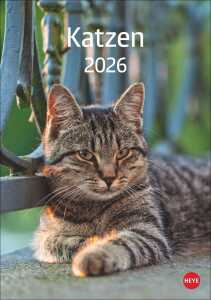 HEYE Wandkalender 2026 Katzen 23,5x33,5cm