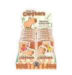 Notizset Capybara 3fach sortiert