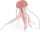 Papo Spielfigur Qualle weiß/rosa 7cm