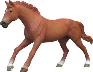 schleich Horse Club Englisches Vollblut Hengst 11cm