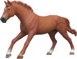 schleich Horse Club Englisches Vollblut Hengst 11cm