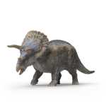 schleich Dinosaurs Triceratops 14cm