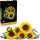 LEGO Botanicals