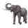 Metal Earth: African Elephant
