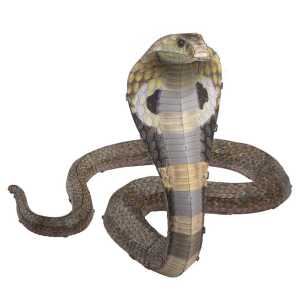 Metal Earth: Cobra (farbiges Modell)