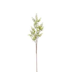 Eucalyptuszweig frosted 75cm