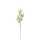 Eucalyptuszweig frosted 75cm