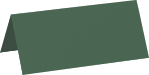 Tischkarte 10x9 moos