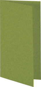 Doppelkarte DL recycling wiesegrün