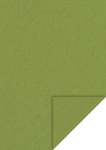 Briefbogen A4 recycling wiesegrün
