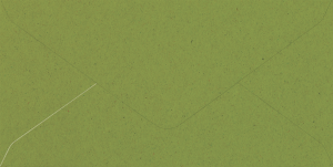 Kuvert DL recycling wiesegrün