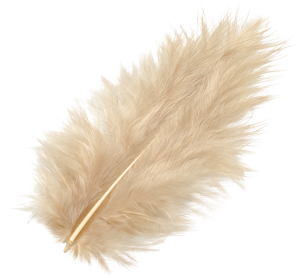 Marabufeder 10cm sand 15er