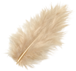 Marabufeder 10cm sand 15er