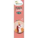 Punch Needle, Einhorn