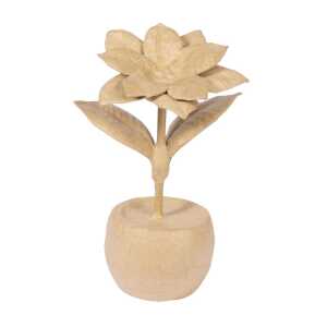 Weihnachtsstern im Topf 12x10x18,5