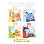 Graffy Easy, Transportmittel