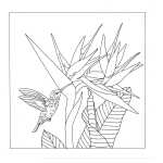 Kissenbezug Seide 40x40cm Koolibri