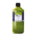 H Dupont classique 1L Anisgrün