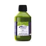 H Dupont classique 250ml Anisgrün