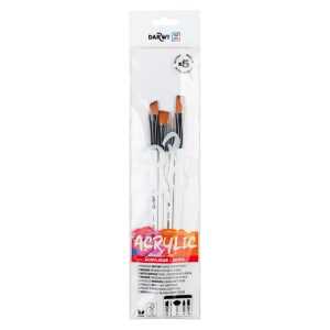 DFY Set mit 5 mittleren Pinseln 2