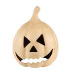 Kürbiskopf zum Aufsetzen 35x35x45cm