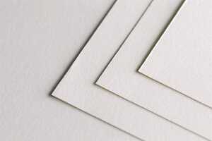 LAVICi Pkg 10Bl A0 450g