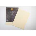 10 kaschierte A1 Elfb 1,25mm