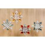 6 dekorative Sterne Weihn Vitamin