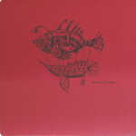 Flying Spirit 50 Bl 15,5x15,5cm 90g