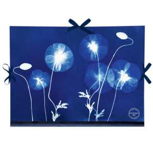 Cyanotype Zeichenmappe 28x38cm