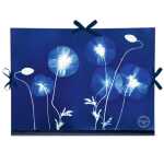 Cyanotype Zeichenmappe 28x38cm