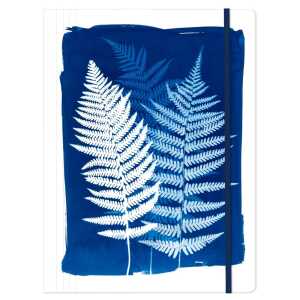 Cyanotype, Sammelmappe 24x32cm