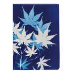 Cyanotyp Heft A6 32 Bl lin st