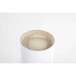 PLASTILINE 5KG HG 30 elfenbein