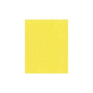 Wellpappe Maxi 2x0,70 1R 175g ge