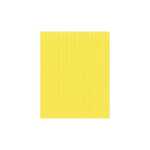 Wellpappe Maxi 2x0,70 1R 175g ge