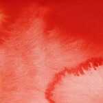 Aquarell Pyrrolrot - 5ml Tube