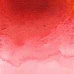 Aq. Quinacridone Rot - 5ml Tube