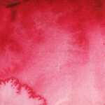 Aquarell Rosalack - 5ml Tube