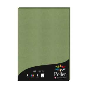 Papier A4 Pollen 120g Salbei 50Bl