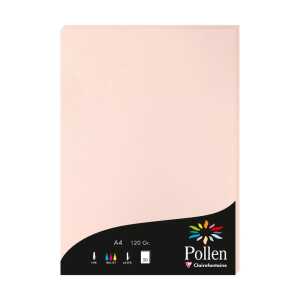 Etui 50Bl Pollen A4 opaline 120g