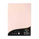 Etui 50Bl Pollen A4 opaline 120g