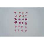 Getrockn. Kornblumenblätter rosa